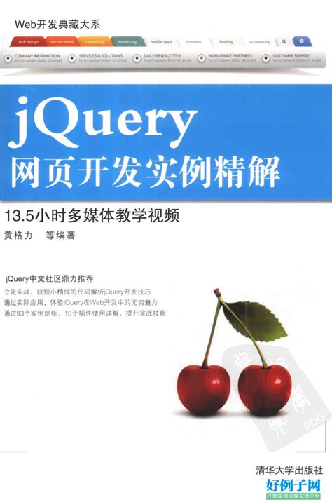 Web开发典藏大系：jQuery网页开发实例精解 - 开发实例、源码下载 - 好例子网