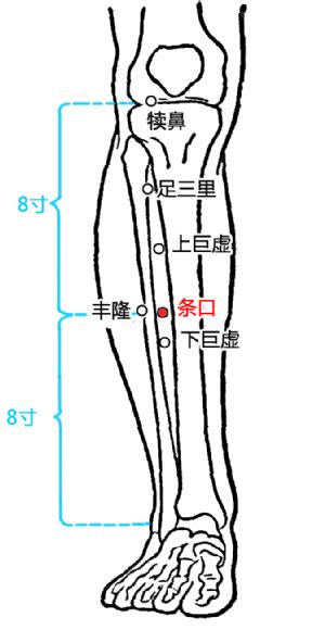 条口的准确位置图图片