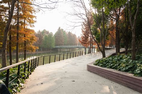 “美丽绵阳”绿色新坐标 小枧生态湿地公园主体完工