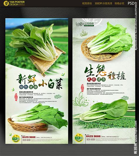白菜(500g)-上海 人人一亩田官网