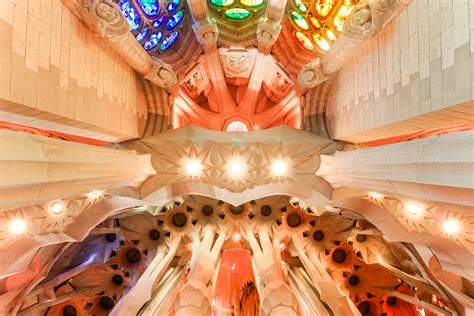 小墨与阿猴图片