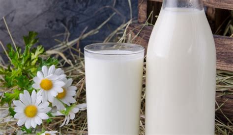 脱脂牛奶和全脂牛奶哪个有营养 - 鲜淘网
