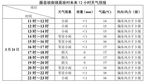 23日18时至24日11时，武汉最大累计雨量达108.9毫米_武汉_新闻中心_长江网_cjn.cn