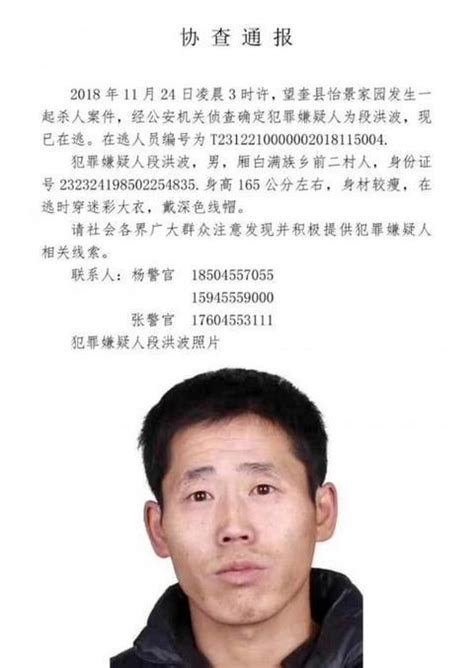 黑龙江宁安发生重大刑事案件 嫌犯作案后持枪逃跑(含视频)_手机新浪网
