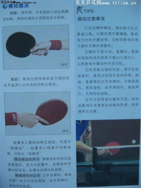 乒乓球握拍方式有哪几种，怎样握拍才算正确 | 狂掠体育
