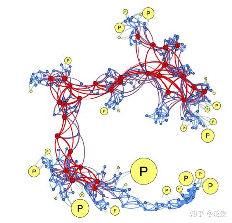 代码分享│R可视化：基因与功能之间的关系--GO功能富集网络图绘制 - 知乎