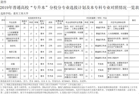 重庆2017届高校毕业生就业报告出炉：男生就业率略高于女生