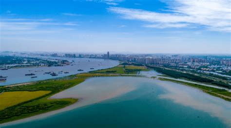 芜湖这里将建省级湿地公园！_自然_外龙_安徽省