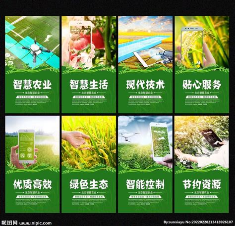 农业企业品牌发展战略指导-上海美御