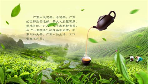 新茶上市茶香四海茶叶电商banner