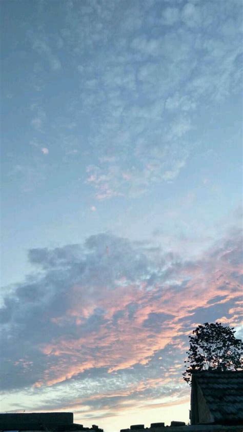 素壁纸图片