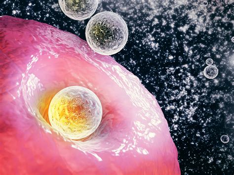 新研究：“精英”细胞在将分化细胞转化为干细胞中起关键作用_前沿资讯_新闻中心_广东万海细胞生物科技有限公司