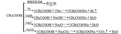 酸和醇的酯化反应方程式