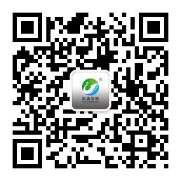 湖北玖鑫生物科技有限公司企业网站