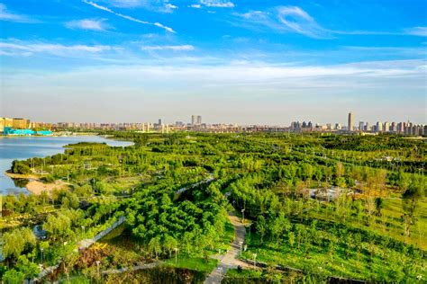 生态绿化建设与管养_郑州市郑东新区建设开发投资总公司