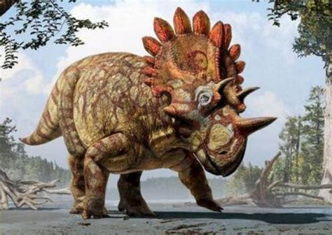 1.4亿年前的恐龙化石 远古时代亿年前恐龙化石