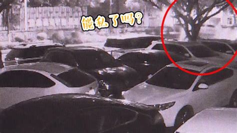 男子醉驾撞两车，当着民警面要私了_七环视频_澎湃新闻-The Paper