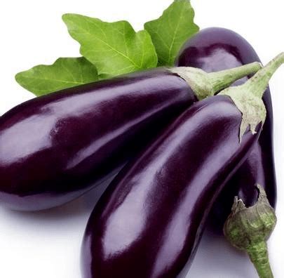 绿色茄子和紫色茄子哪种好？它们有哪些区别？_紫皮