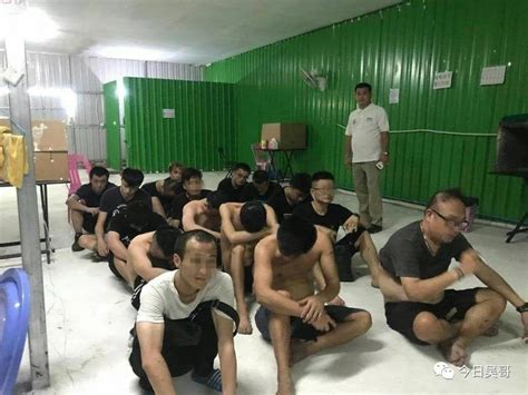 122名电信诈骗嫌疑人从柬埔寨押解回国_新浪图片