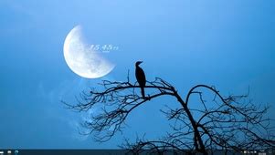 徐有富：“月落乌啼霜满天”的“乌”是乌鸦吗 - 诗词曲赋 - 上海名家艺术研究协会官方网站