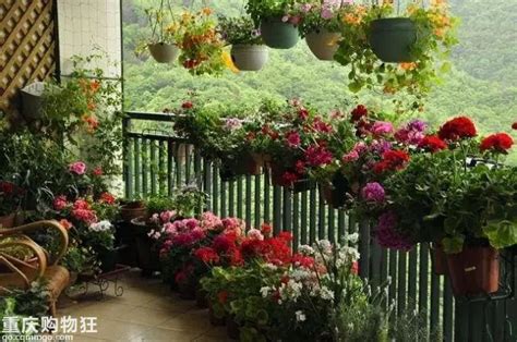 什么样的花架能最有效的利用阳台空间？ - 知乎