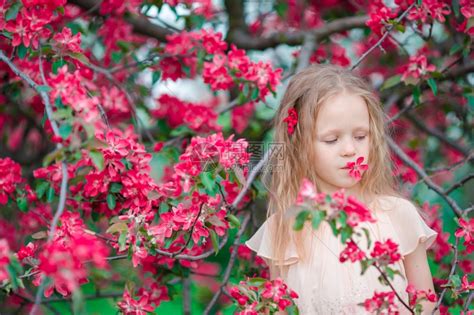 美丽的春日在盛开苹果园中可爱的小女孩在美丽的春天节上美丽漂亮的孩子肖像穿着衣服回到地上的树花丽可爱的小女孩微笑童年花的高清图片下载-正版图片 ...