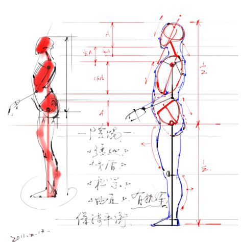 人体比例标准图图片
