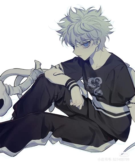 全职猎人奇犽小杰图片