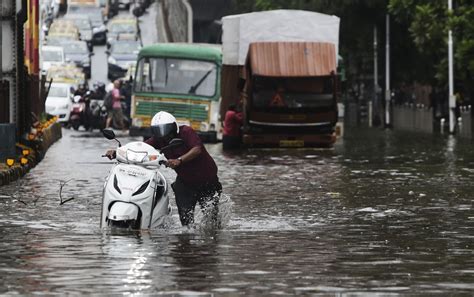 媒体：印度东南部暴雨致40多人死亡 - 2021年11月22日, 俄罗斯卫星通讯社