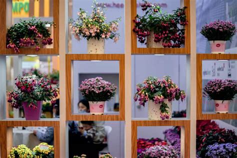 第23届中国国际花卉园艺展览会开幕 园林资讯