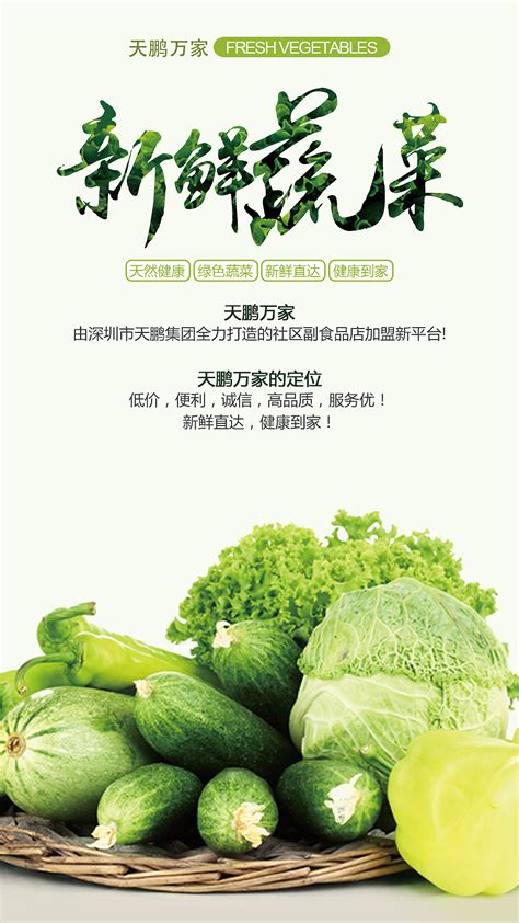 大气新鲜蔬菜海报设计图片下载_红动中国