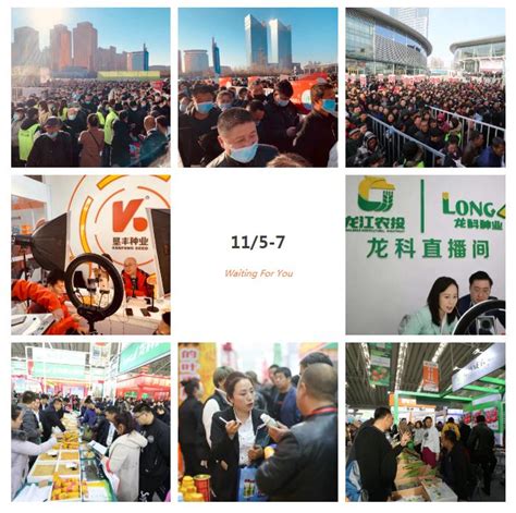 哈尔滨展览设计搭建公司告诉你2021中国·哈尔滨第二十八届广告新媒体、新技术、新设备、新材料展示交易会那些事-全球展讯-欧马腾会展科技（上海）有限公司