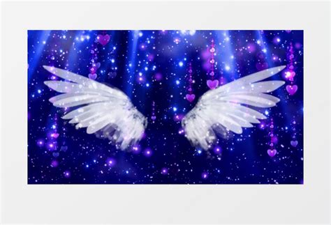 翅膀 天使的翅膀 实物图片免费下载_PNG素材_编号vd9imol5e_图精灵