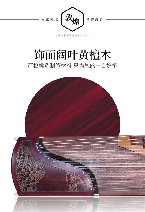 琴枝拿图艾特图片