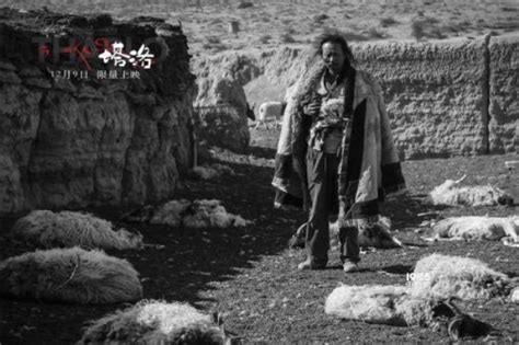 导演松太加：《阿拉姜色》不是对藏区的猎奇_文体人物_新民网