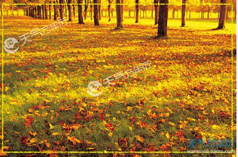 秋天的景色|摄影|风光|ztotoro - 原创作品 - 站酷 (ZCOOL)