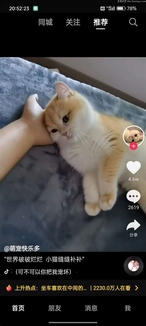 play up to 的图像结果