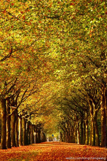 【荷兰】阿姆斯特丹的秋天，给你一个爱上秋… - 堆糖，美图壁纸兴趣社区