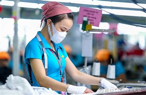 越南加工制造业销售指数增长3.1% | 经济 | Vietnam+ (VietnamPlus)