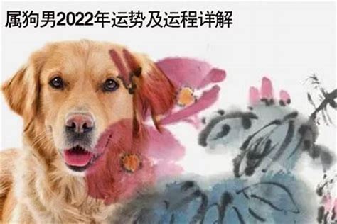 属狗2023年运势及运程1970年出生(属狗的人2022年运气怎么样)_生肖_若朴堂文化