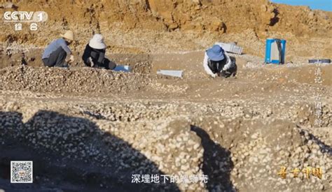 4000年前南京人吃的火锅 螺蛳是其中一道菜_江苏频道_凤凰网