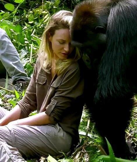 比利时女子与黑猩猩相爱，动物园禁止她继续探望，网友：棒打鸳鸯 - 知乎
