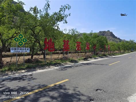 佳县发布红枣产业品牌化发展战略_西部决策网_国家一类新闻网站