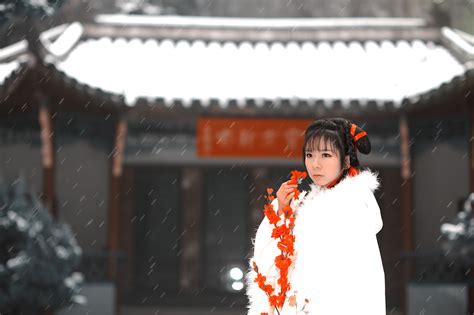 【踏雪寻梅摄影图片】南京梅花山生态摄影_太平洋电脑网摄影部落
