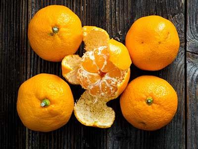 橘子络的功效与作用-水果洽购