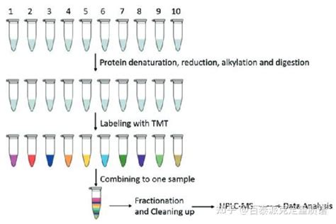 基于质谱蛋白质组学的药物设计与发现_分析_探针_靶标