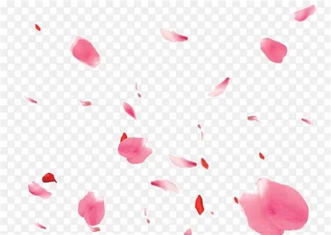 粉色玫瑰花瓣主页装修PNG图片素材下载_图片编号10044796-PNG素材网