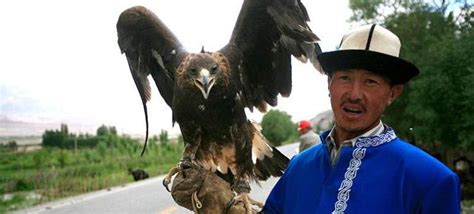 一天捡到两只“鹰” 警方表示先治疗再放归大自然_我苏网