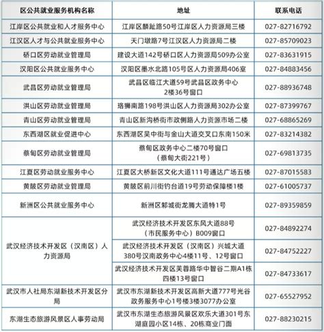 武汉创业就业税收政策认定（企业吸纳）指南- 武汉本地宝