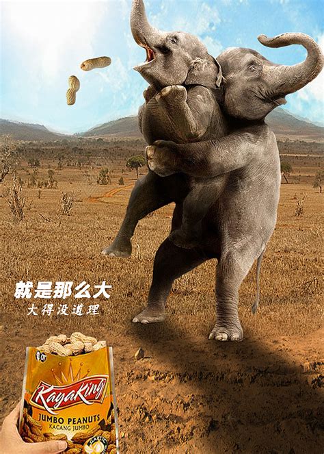 趣味搞笑图片